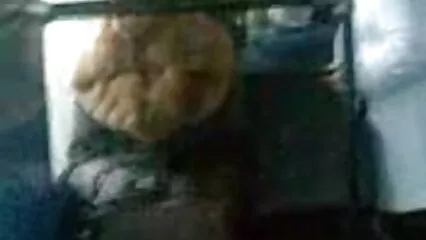 Doppia penetrazione gangbang con una bella bionda per video porno di donne con cavalli il suo compleanno.
