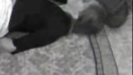 La piccola mora incontra un nuovo vicino e il suo cazzo. film porno vecchi con giovani