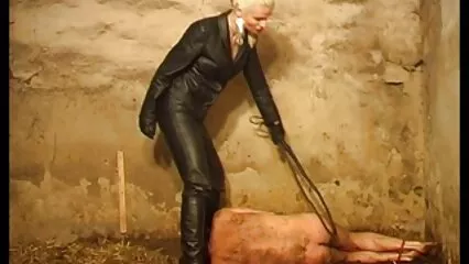 Una mora in leggings rosa in una posa di cancro sostituisce un berretto per porno gratuito con animali sculacciata.