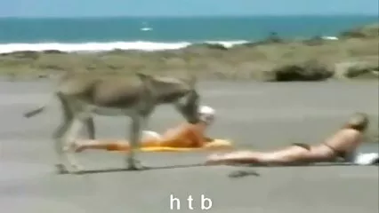 Lo studente Tyler Fait ha leccato un'insegnante tettona con le calze e il berretto bagnato video porno con ragazzi sul tavolo.